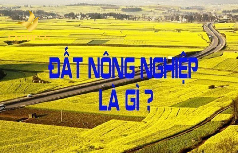 Làm thế nào để có thể dùng đất nông nghiệp xây nhà cấp 4?