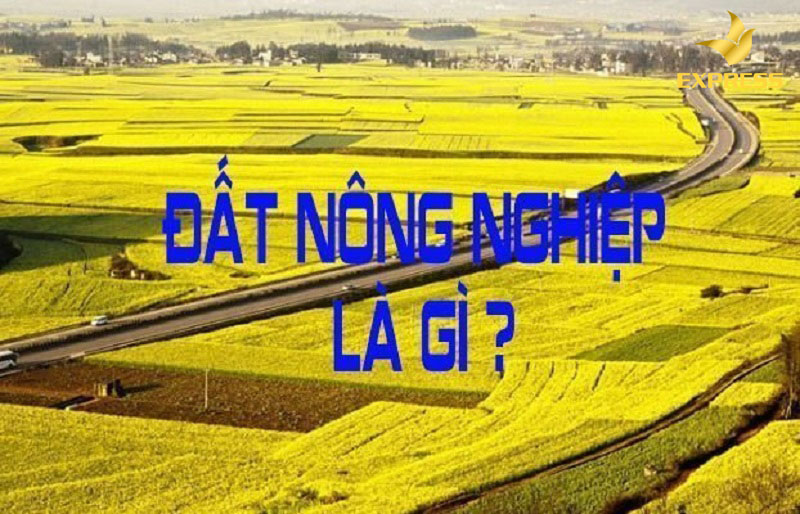 Tìm hiểu tất tần tật về đất nông nghiệp 2021