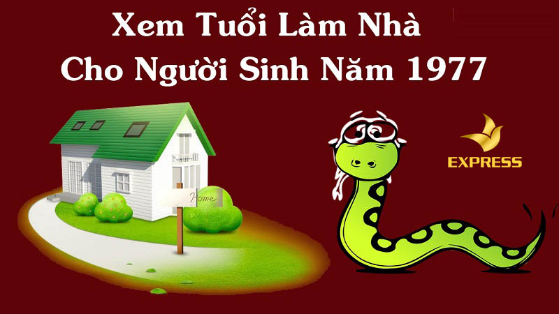 CĐT tuổi Đinh Tỵ 1977 xây nhà năm nào để tránh vận hạn?